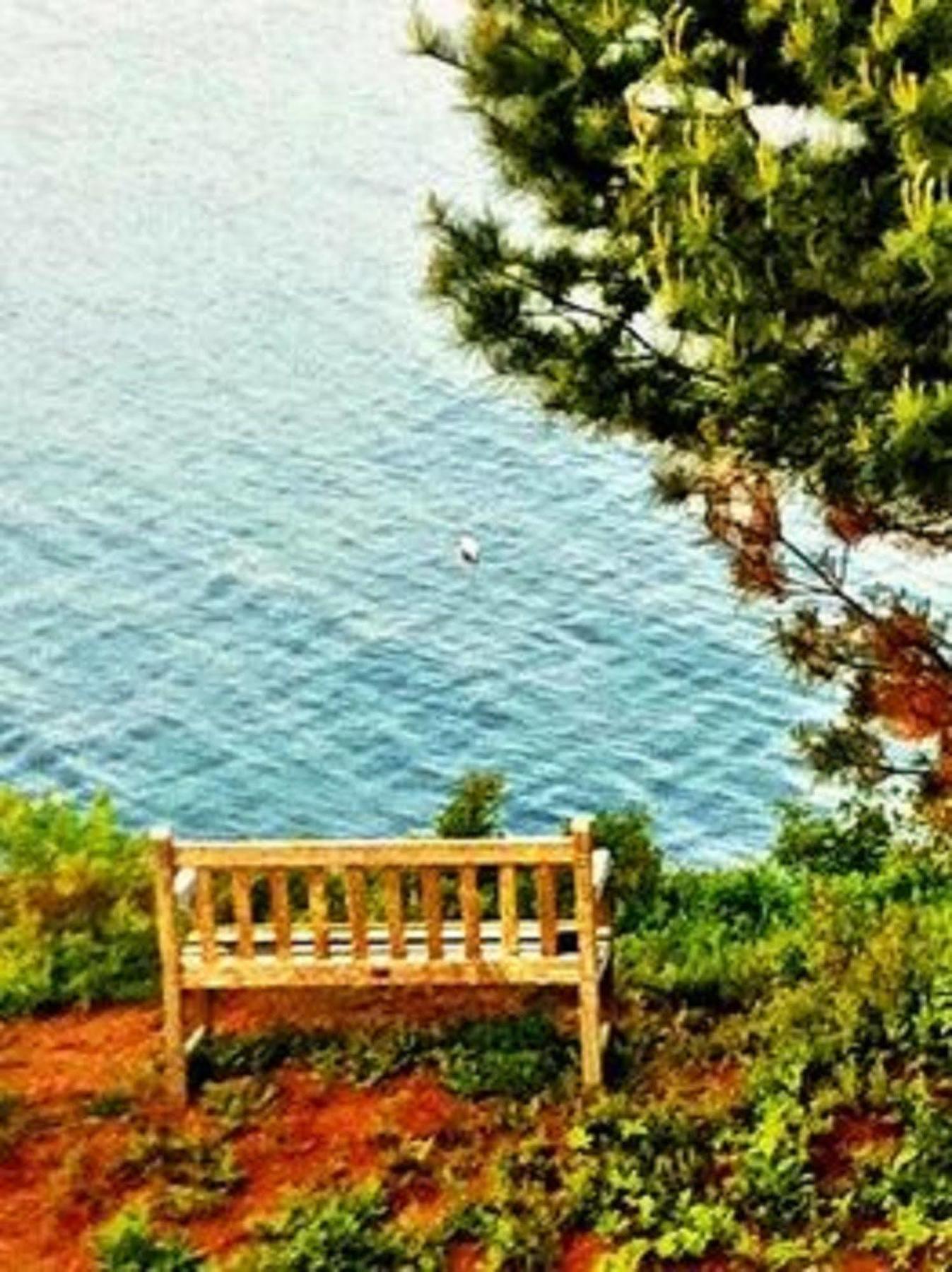 Grey Havens Inn Georgetown Zewnętrze zdjęcie